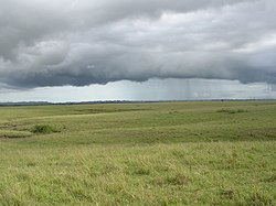 Wet season clouds over Fuiloro Plateau grasslands, with hundreds of termite mounds, Fuiloro, Lautem, Timor-Leste (26 Mar 2006).jpg