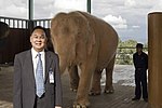 Vignette pour Éléphant blanc (animal)