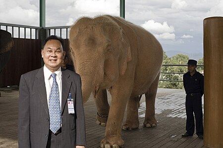 ไฟล์:White_elephant_at_Naypyidaw's_Uppatasanti_Pagoda.jpg