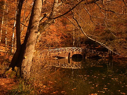 Autumn view from Yedigöller ("Seven Lakes") National Park