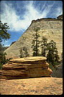 Zion National Park ZION9545.jpg