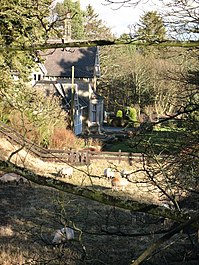 'The sheep now arriving at platform one...' - geograph.org.uk - 656287.jpg