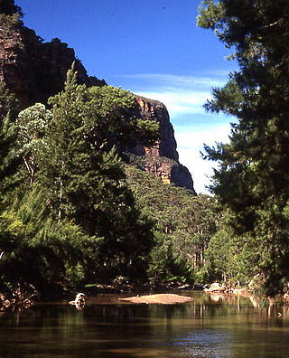 <span class="mw-page-title-main">Wollemi National Park</span> Protected area in New South Wales, Australia