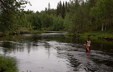 Fly fishing in Äkäsjoki