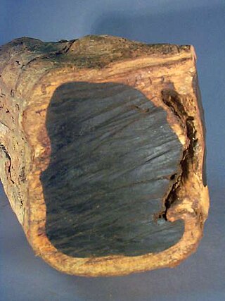 <span class="mw-page-title-main">Ebony</span> Type of dense black/brown hardwood