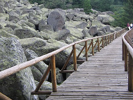 Golden bridge