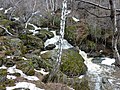 Водопады на ручье Могак - panoramio.jpg