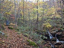 ファイル:紅葉と渓谷の美しい登山道.jpg