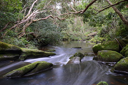 Macquarie Park provides access to Lane Cove National Park.