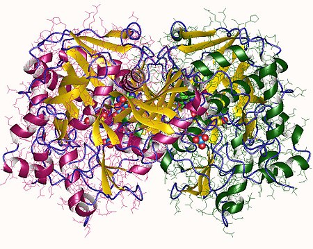 Gliserol kinase