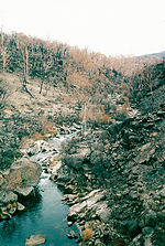 Thumbnail for File:2003 Bushfires aftermath, Bundara River near Anglers Rest.jpg