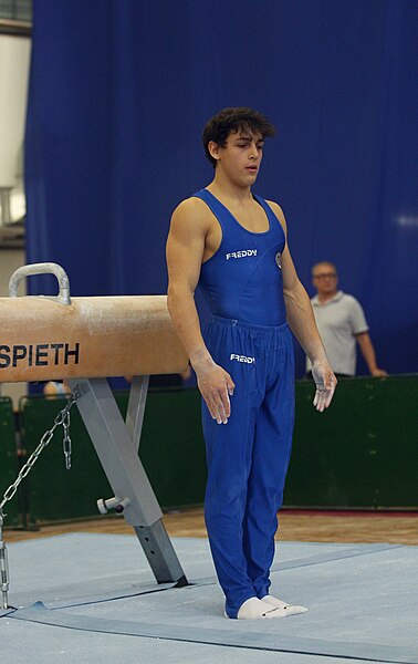 File:2019-05-25 Budapest Cup age group I all-around competition pommel horse (Martin Rulsch) 173.jpg