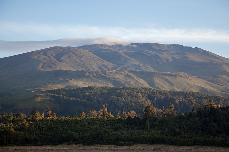 File:202102 - Lake Alice Mt Kenya-28 (50999231302).jpg