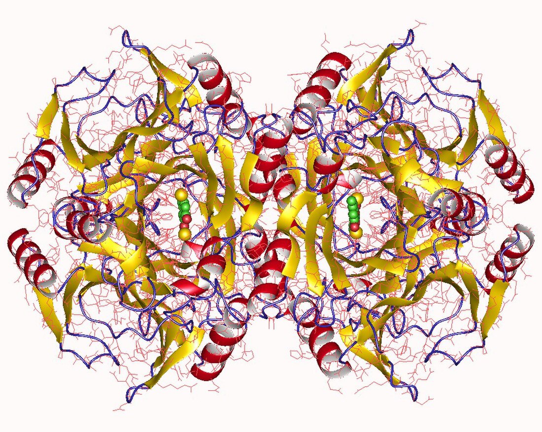 Catechol 2,3-dioxygenase