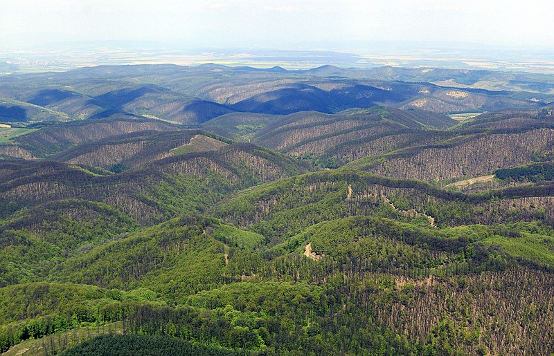 File:A Börzsöny látképe a magasból.jpg