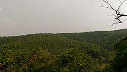 Ein Klick von der Spitze des Hügels .... bei belpahari,jhargram.jpg