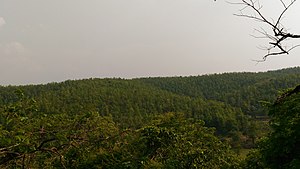 A click from a top of the hill....at belpahari,jhargram.jpg