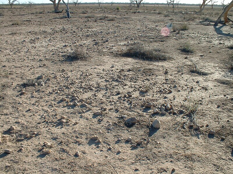 File:Aboriginal cooking hearth.JPG