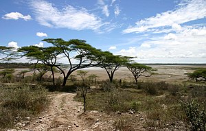 Serengeti: Geschichte, Flora, Fauna