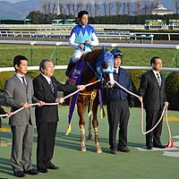 近藤利一: 経歴・人物, 馬主活動, 主な所有馬