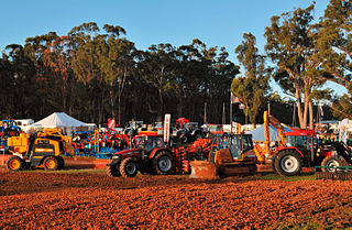 <span class="mw-page-title-main">Agfest</span>