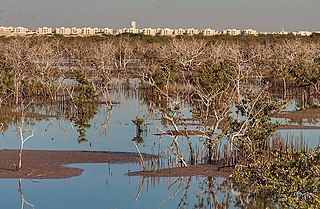 <span class="mw-page-title-main">Al Khor Community</span> Township in Al Khor, Qatar