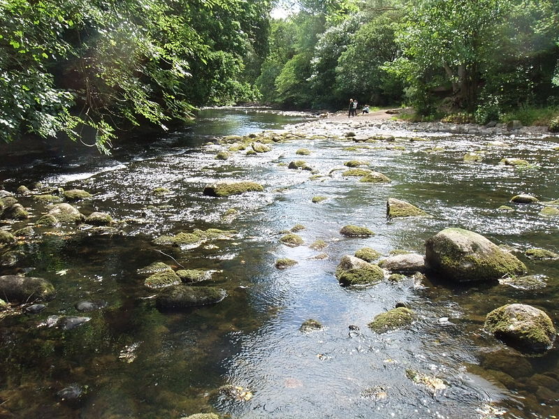 File:Allan Water above Bridge of Allan, July 1st 2013.jpg