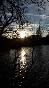 At the farm pond in Crimmitschau.jpg