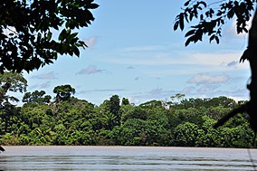 Amazônia eo Rio Madeira.JPG 