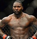 Vignette pour Anthony Johnson (MMA)