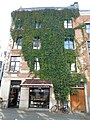 Petolisna lozika uz zgradu, Torfburg, Antwerpen