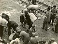 Image 37Jews arrive with their belongings at the Auschwitz II extermination camp, summer 1944, thinking they were being resettled. (from The Holocaust)