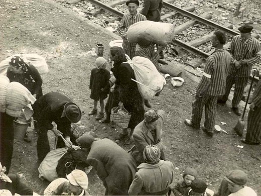 Jews arrive with their belongings at the Auschwitz II extermination camp, summer 1944, thinking they were being resettled.