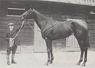 Atmah British-bred Thoroughbred racehorse