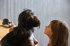 C:_]] _ (da) - (ph:_) ... Lebend-Rekonstruktion im Neanderthal-Museum (Erkrath, Mettmann) eines Australopithecus afarensis (Fund genannt „Lucy“) mit Mädchen (Ausschnitt vom Originalfoto), Fundort Hadar Äthiopien