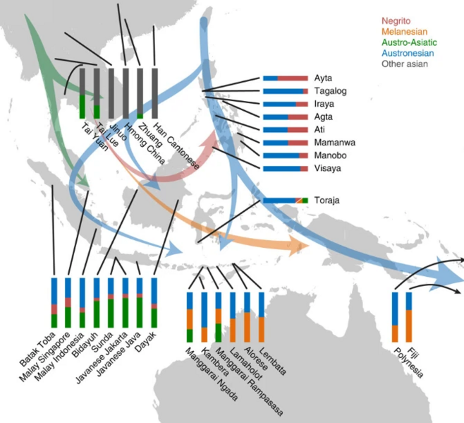 File:Austronesian gene.png