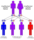 Thumbnail for Aminolevulinic acid dehydratase deficiency porphyria