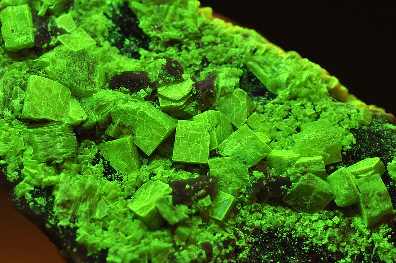 File:Autunite sous U.V. (France).jpg