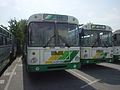 Avtobus MAN SG 220.jpg