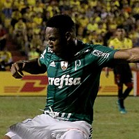 Futebol Profissional – Palmeiras