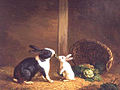 Deux lapins se disputant un brin d'herbe par, H. Baert, 1842.