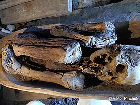 Мумия из погребальной пещеры «Бангао». Фото сделано в экспедиции к островам Океании