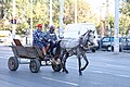 Deutsch: Roma in Sofia, mit solchen Pferdewagen erfolgt der Großteil der Sperrmüllentsorgung in Sofia; die Roma grasen regelmäßig alle Straßen ab und fahren Sperrmüll ab, den sie dann verwerten; es kostet keine Gebühren und ist nicht organisiert