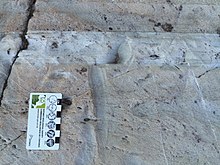 Sharp, conformable sandstone bedding contact, near Terrace Bay, Ontario, Canada. Bedding contact.jpg