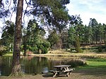 Bedgebury National Pinetum