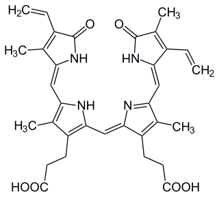 <span class="mw-page-title-main">Biliverdin</span> Chemical compound