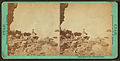Black Rock in the Great Salt Lake, by Savage, C. R. (Charles Roscoe), 1832-1909.jpg