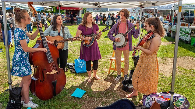 A bluegrass band