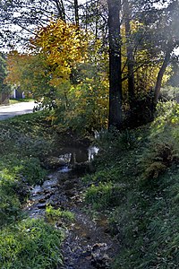 Boříkovický creek in Dolní Boříkovice.jpg
