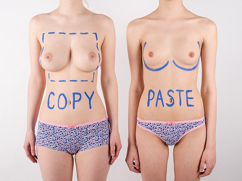 File:Body painting - Copy-paste.jpg